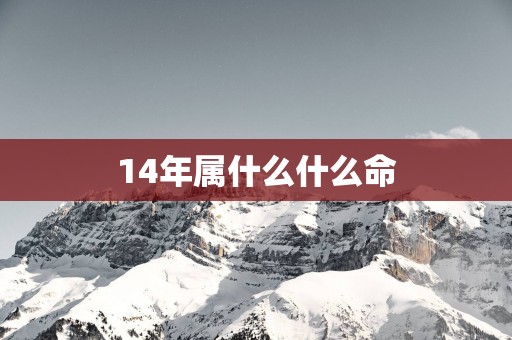 14年属什么什么命