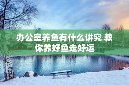 办公室养鱼有什么讲究 教你养好鱼走好运