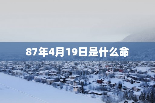 87年4月19日是什么命