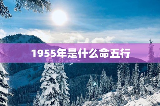1955年是什么命五行