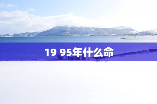 19 95年什么命