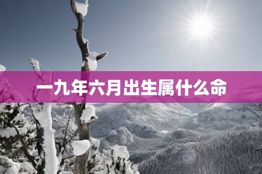一九年六月出生属什么命