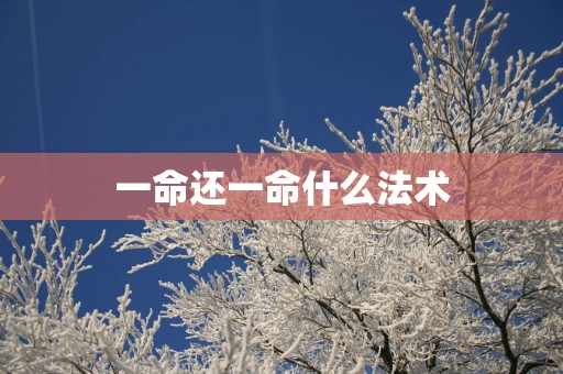 一命还一命什么法术