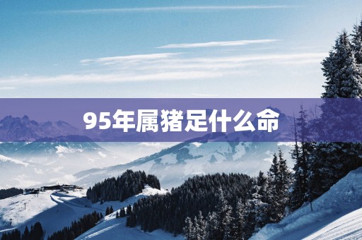 95年属猪足什么命