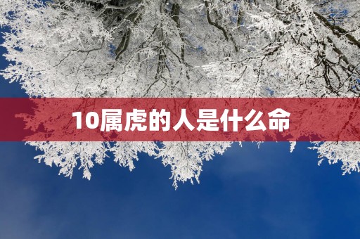 10属虎的人是什么命