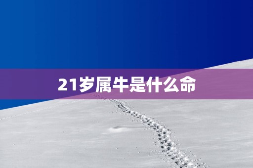 21岁属牛是什么命
