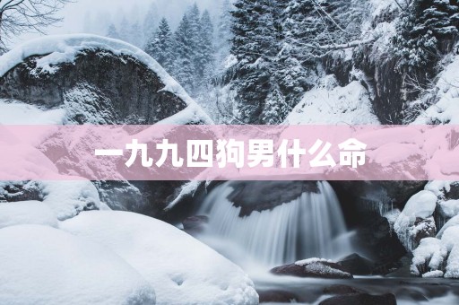 一九九四狗男什么命