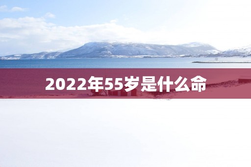 2025年55岁是什么命