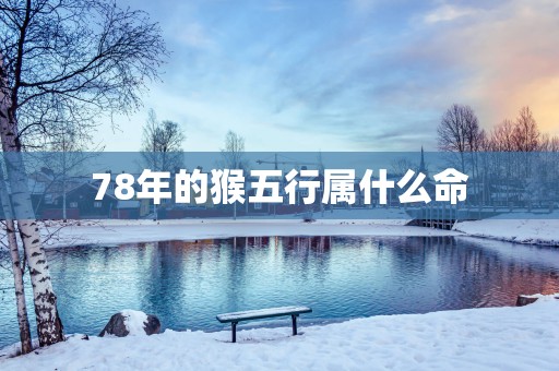 78年的猴五行属什么命
