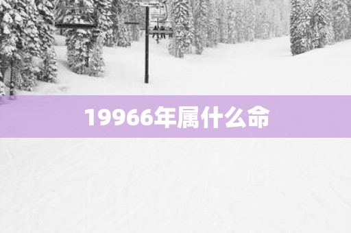 19966年属什么命