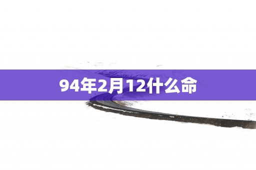 94年2月12什么命