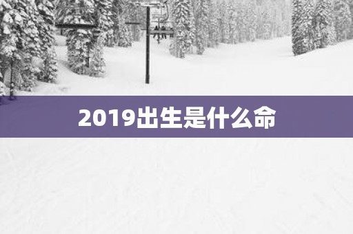 2019出生是什么命