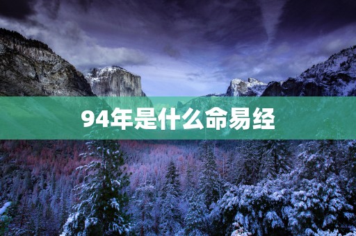 94年是什么命易经
