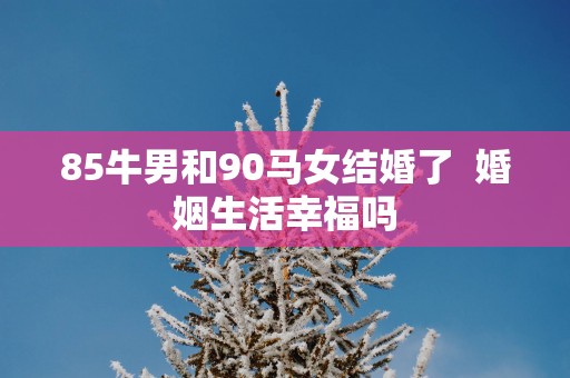 85牛男和90马女结婚了  婚姻生活幸福吗
