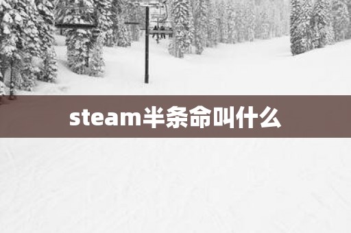 steam半条命叫什么
