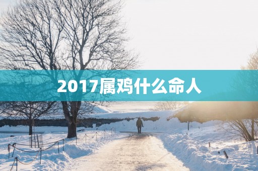 2017属鸡什么命人