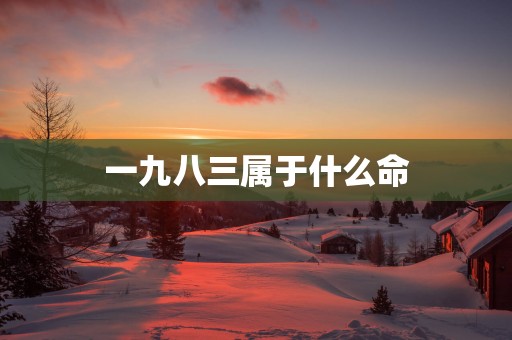 一九八三属于什么命