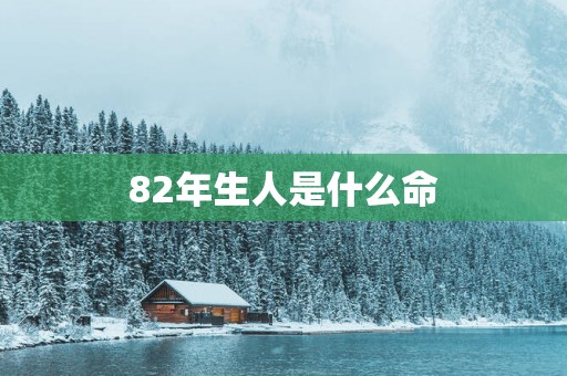82年生人是什么命