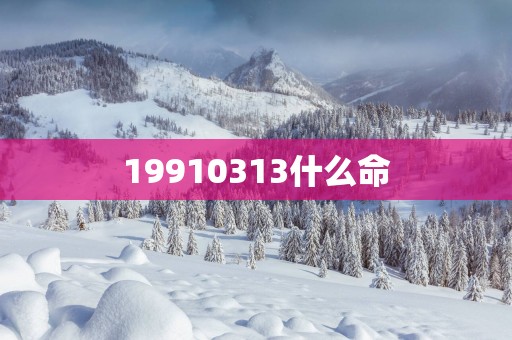 19910313什么命