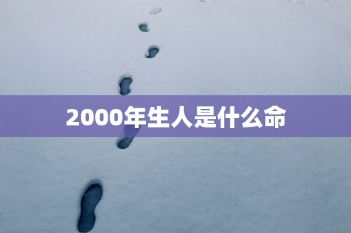 2000年生人是什么命