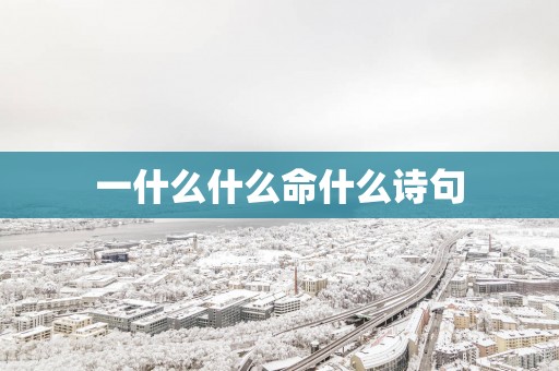 一什么什么命什么诗句