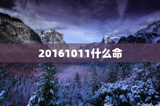20161011什么命