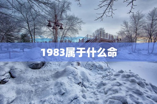 1983属于什么命