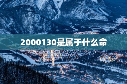2000130是属于什么命