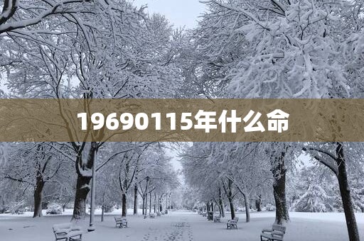 19690115年什么命