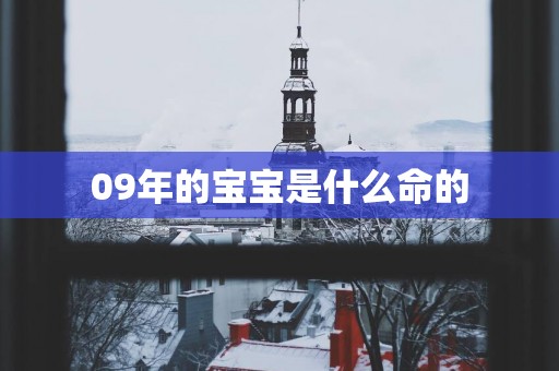 09年的宝宝是什么命的