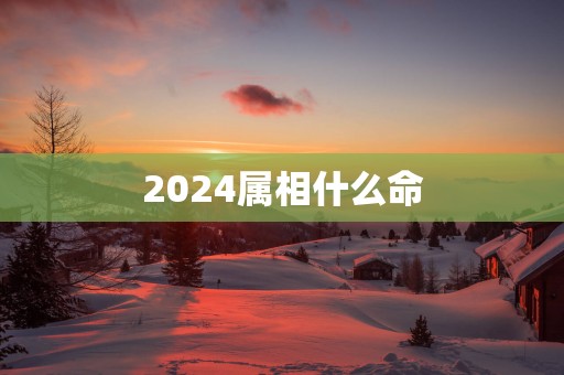 2025属相什么命