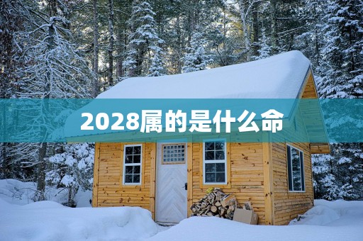 2028属的是什么命
