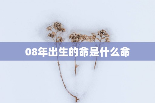 08年出生的命是什么命