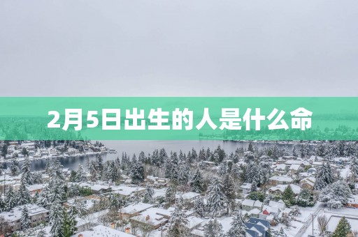 2月5日出生的人是什么命