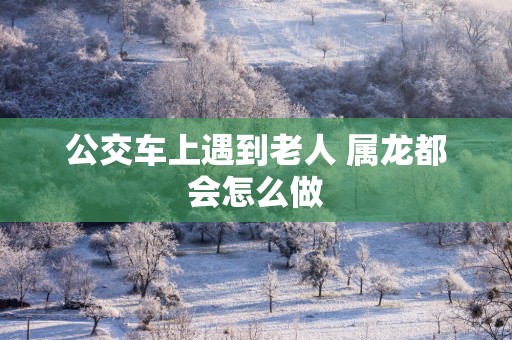 公交车上遇到老人 属龙都会怎么做