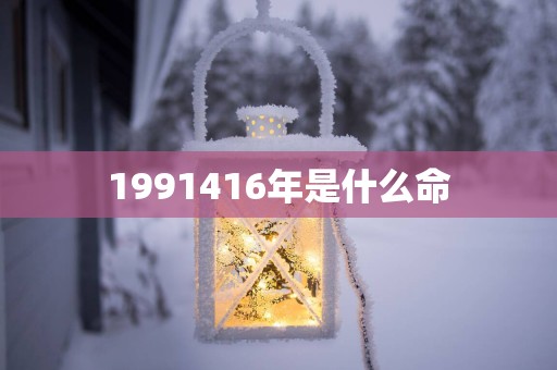1991416年是什么命