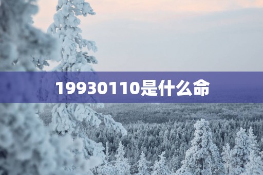 19930110是什么命