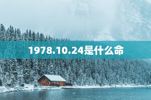 1978.10.24是什么命