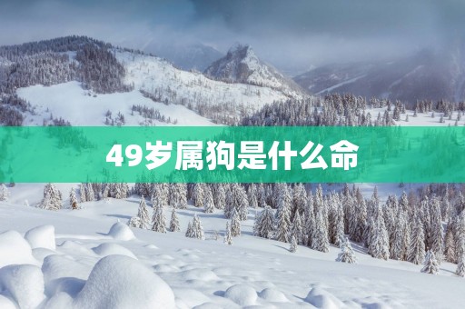 49岁属狗是什么命