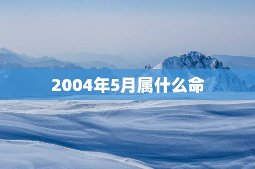2004年5月属什么命