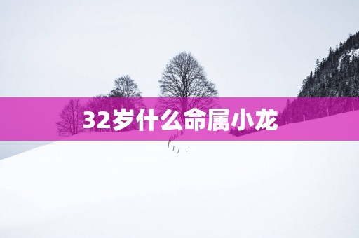32岁什么命属小龙
