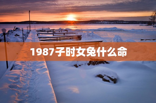 1987子时女兔什么命