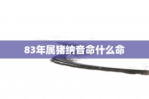 83年属猪纳音命什么命