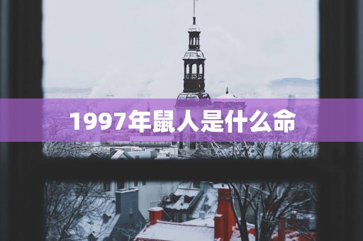 1997年鼠人是什么命