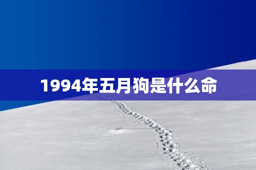 1994年五月狗是什么命