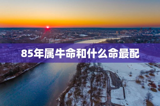 85年属牛命和什么命最配