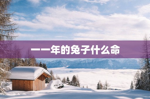 一一年的兔子什么命