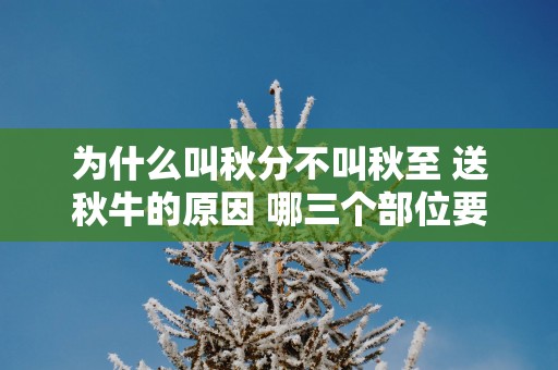 为什么叫秋分不叫秋至 送秋牛的原因 哪三个部位要注意