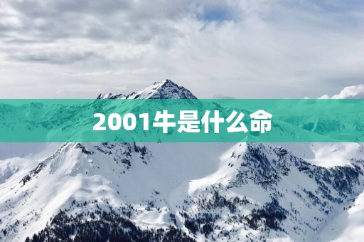 2001牛是什么命