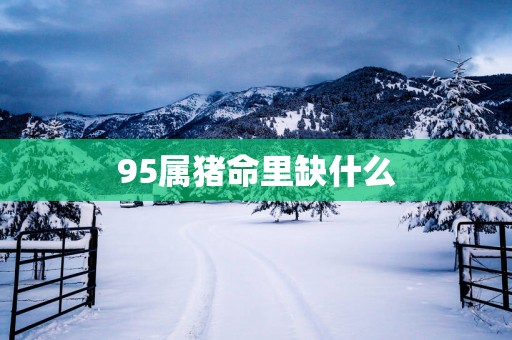 95属猪命里缺什么